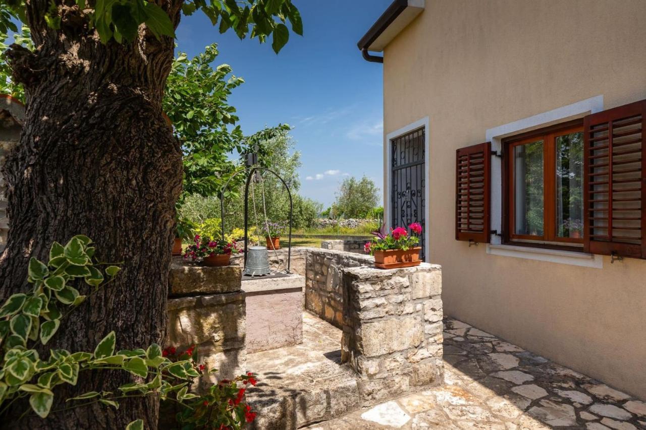 Villa Greis With 4 Bedrooms And Pool In Buje Momjan Exterior photo